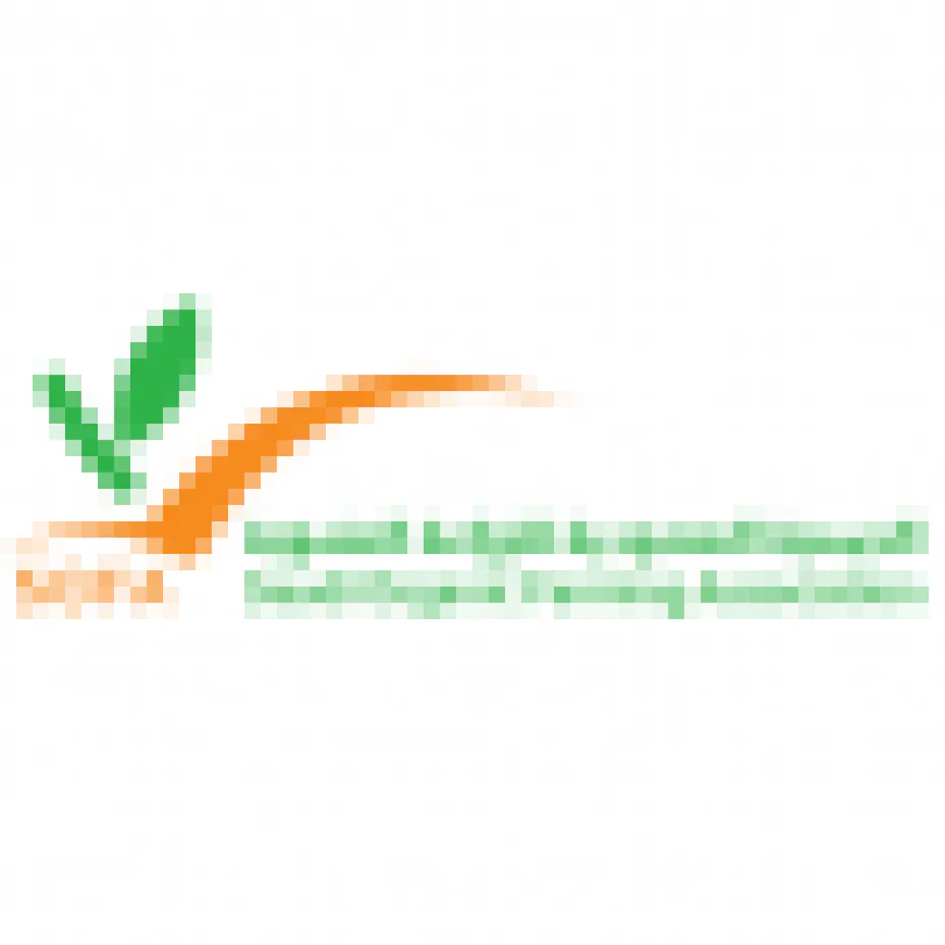 مدير فروع
